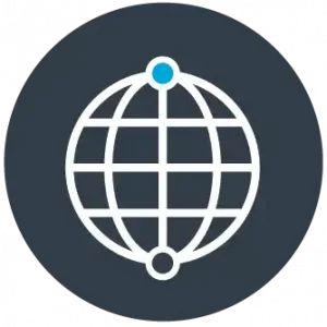 data standards icon - white globe on a gray background