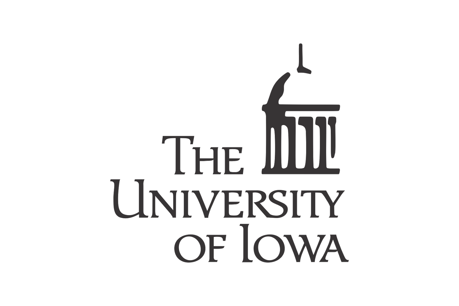 University of Iowa Health Care
