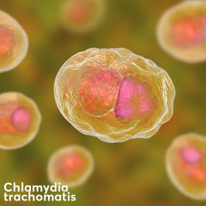 Chlamydia trachomatis