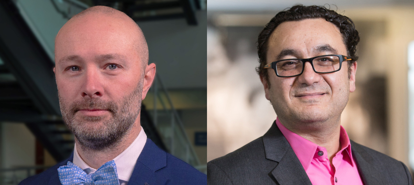 MSN features Dr. Noll Campbell