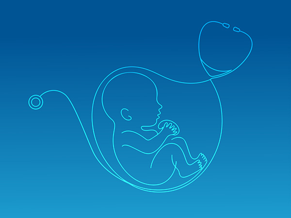 line drawing of fetus in utero connected to stethoscope